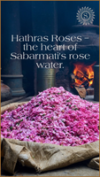 Pure Rose Water 200ml